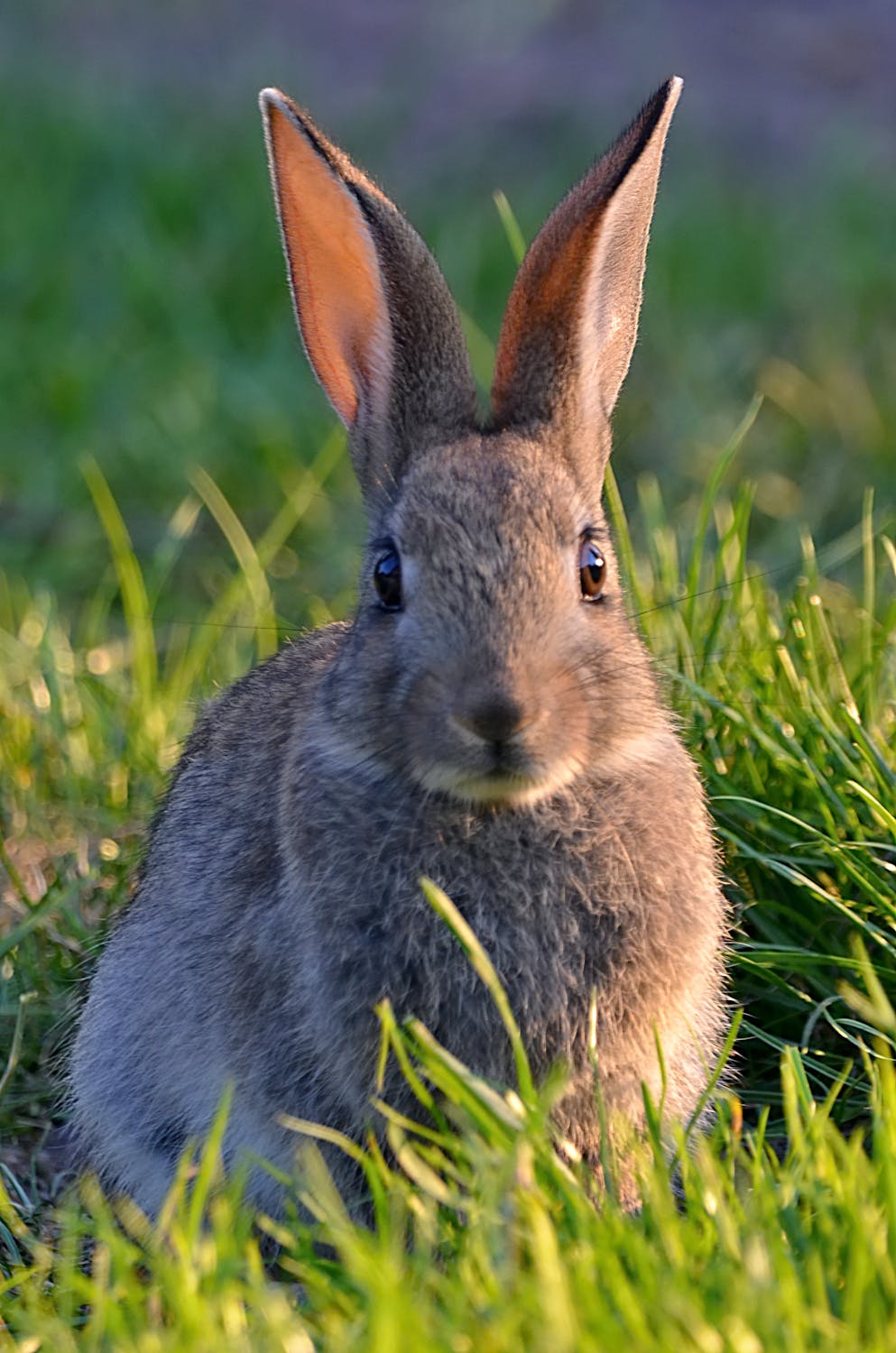 Werde auch Du wieder fit für`s Tor!